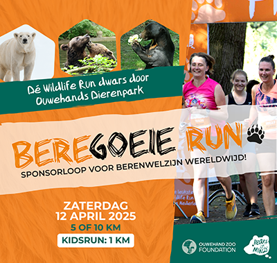 Beregoeie Run